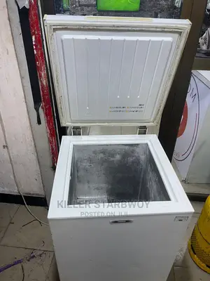 Freezer Lita 100