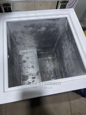 Freezer Lita 100