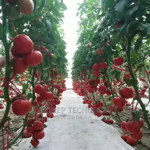 Greenhouses
