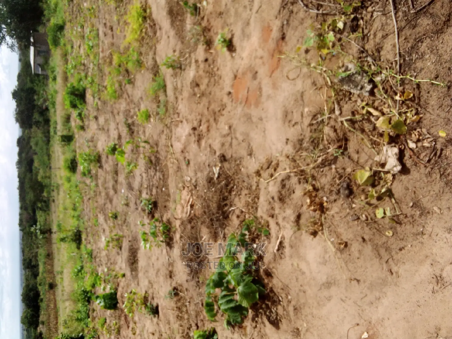 Plot for Sale Mlandizi Acasia
