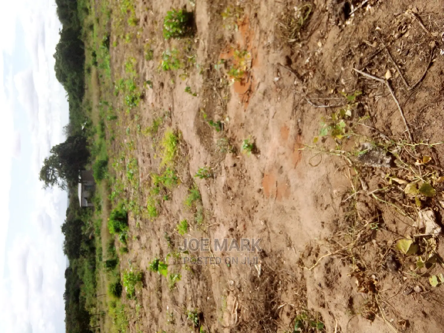 Plot for Sale Mlandizi Acasia