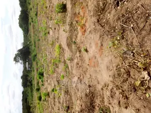Plot for Sale Mlandizi Acasia