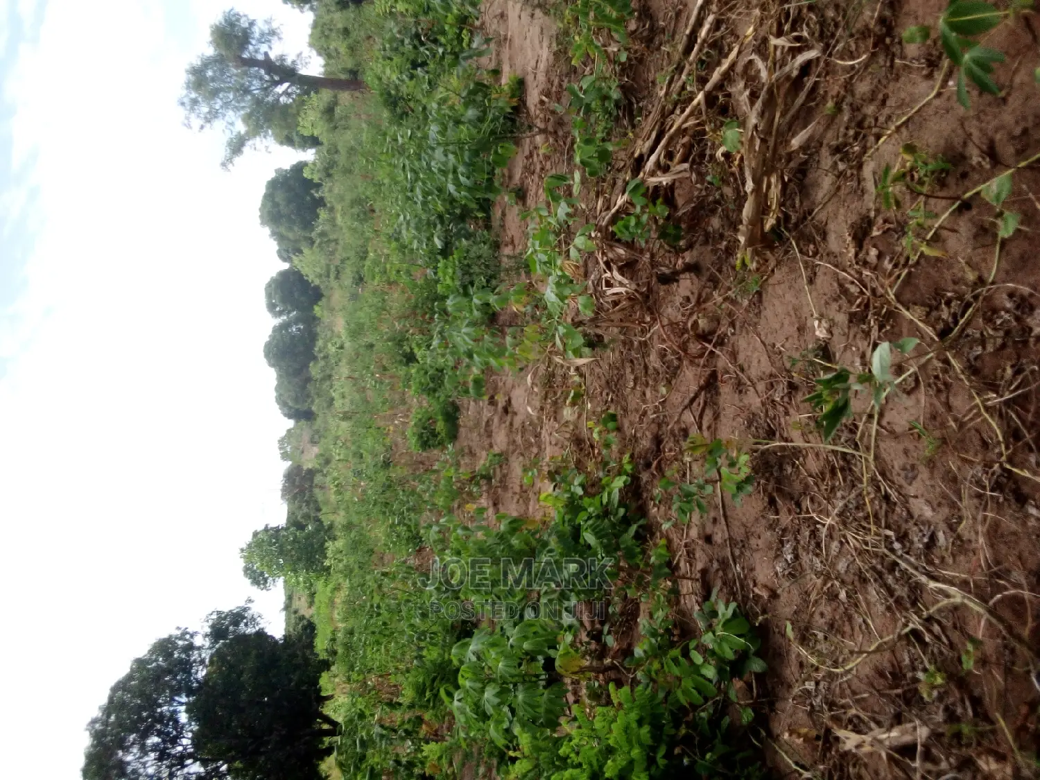 Plot for Sale Mlandizi Acasia