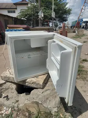 Mini Fridge Kampuni West Point