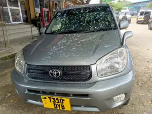 Toyota RAV4 2005 Gray