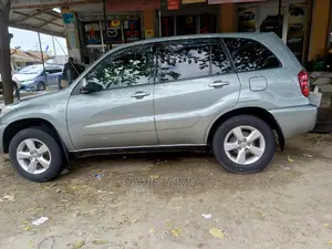 Toyota RAV4 2005 Gray