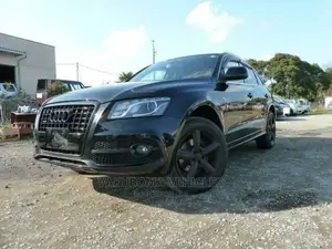 Audi Q5 2009 Black