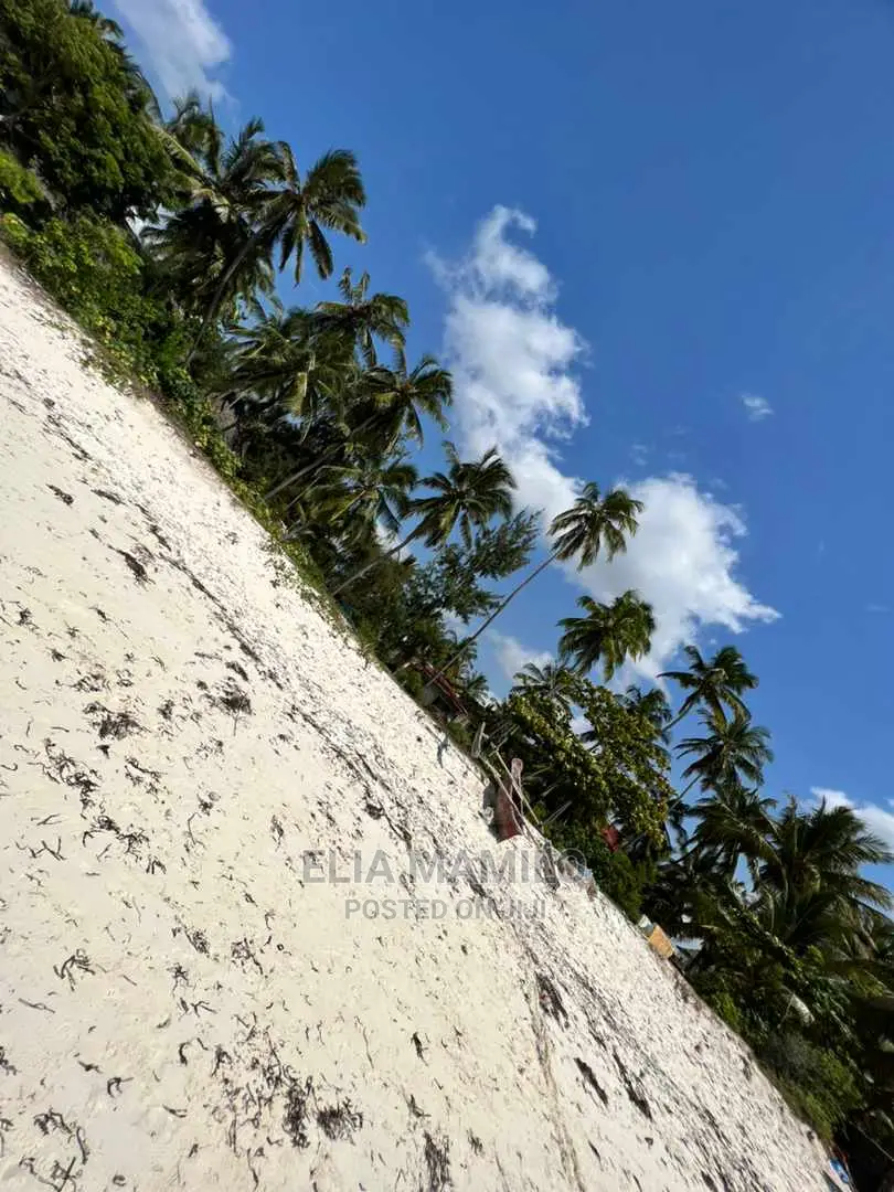 Beach Plot for Sale in Paje Mwisho, Zanzibar.