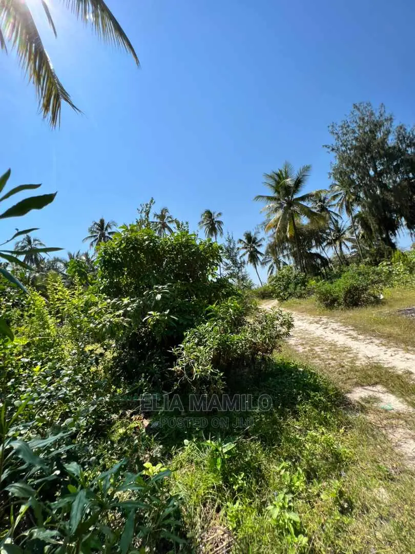 Beach Plot for Sale in Paje Mwisho, Zanzibar.