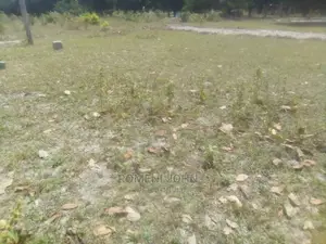 Eneo La Makazi Na Biashara Linauzwa Milioni 2.3 Bombambili.