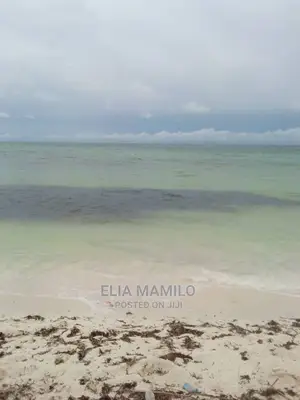 Beach Plot for Sale in Bwejuu Zanzibar.