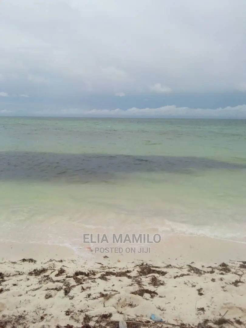 Beach Plot for Sale in Bwejuu Zanzibar.