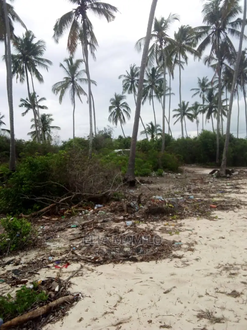 Beach Plot for Sale in Bwejuu Zanzibar.