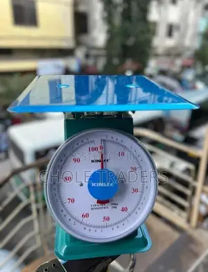 100kg Weighing Spring Scale
