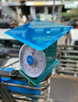 100kg Weighing Spring Scale