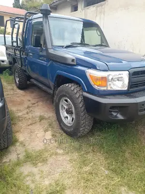 Toyota Land Cruiser 2008 Blue