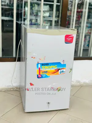 Fridge Mlango 1 Clean Sana