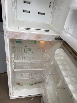 Fridge Kubwa Sanaa