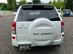Suzuki Escudo 2007 Pearl