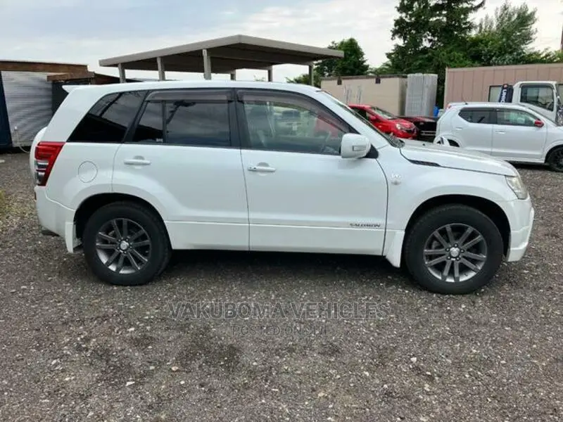 Suzuki Escudo 2007 Pearl