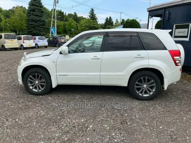 Suzuki Escudo 2007 Pearl