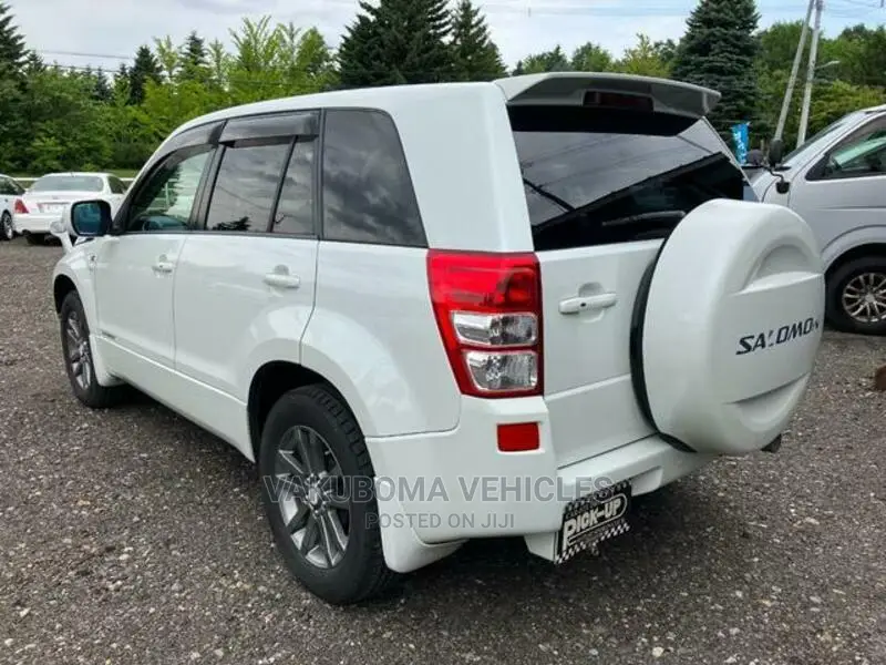 Suzuki Escudo 2007 Pearl