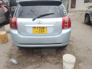 Toyota Allex 2003 Gray