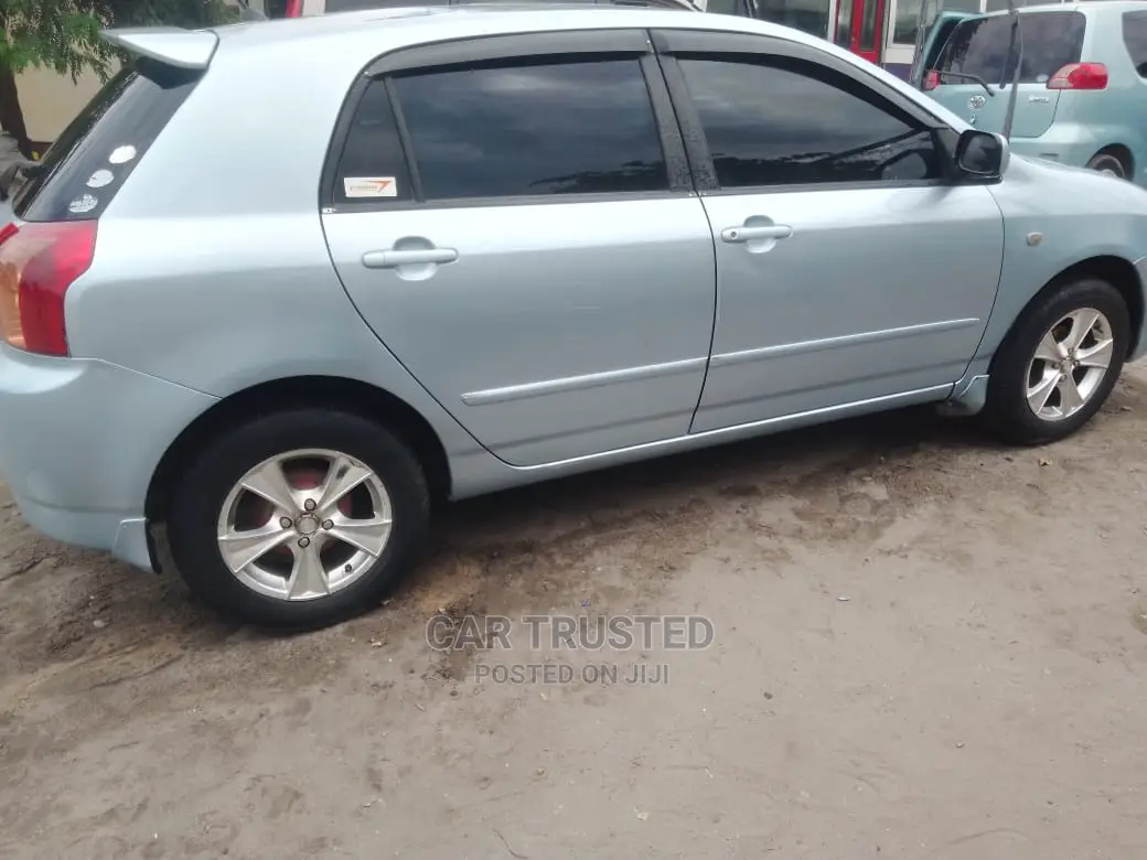 Toyota Allex 2003 Gray