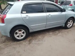 Toyota Allex 2003 Gray