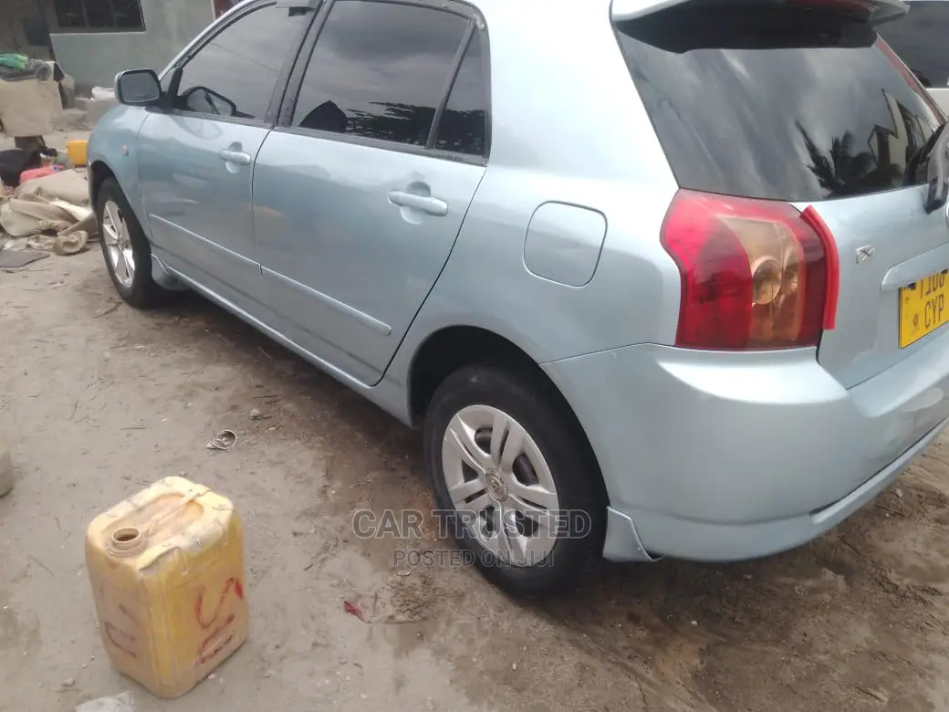 Toyota Allex 2003 Gray