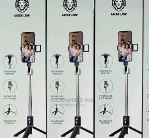 Greenlion Click Stick 2