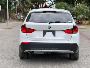 BMW X1 2010 Pearl