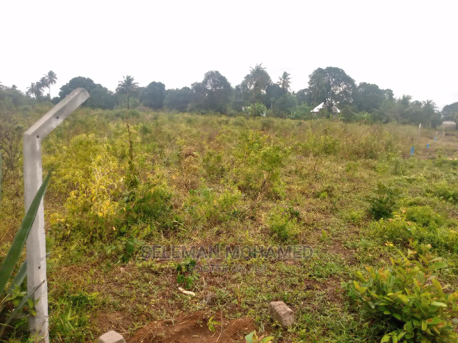 Shamba/Eneo Linauzwa Mbagala Mbande Tambani