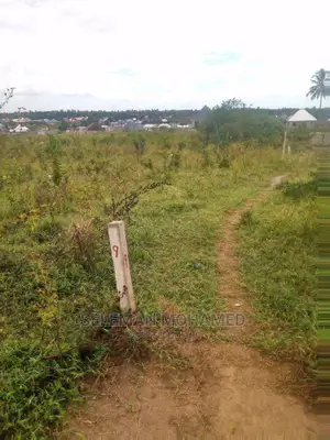 Shamba/Eneo Linauzwa Mbagala Mbande Tambani