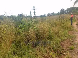 Shamba/Eneo Linauzwa Mbagala Mbande Tambani