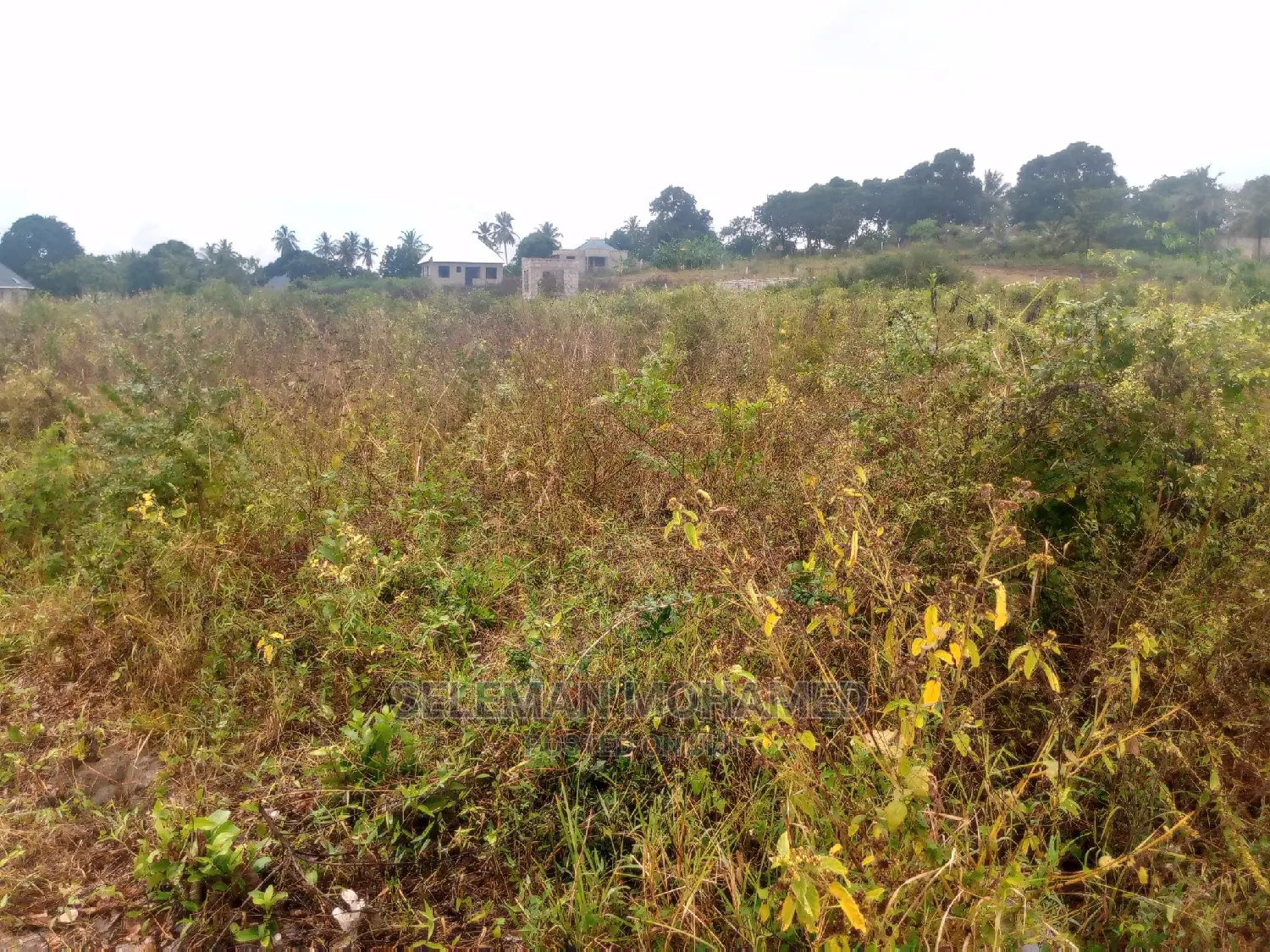 Shamba/Eneo Linauzwa Mbagala Mbande Tambani