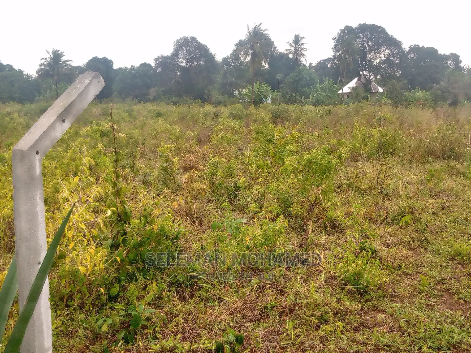Shamba/Eneo Linauzwa Mbagala Mbande Tambani