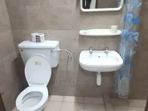 Furnished 3bdrm Apartment in Ediba Real Estate, Arusha for rent
