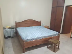Furnished 3bdrm Apartment in Ediba Real Estate, Arusha for rent