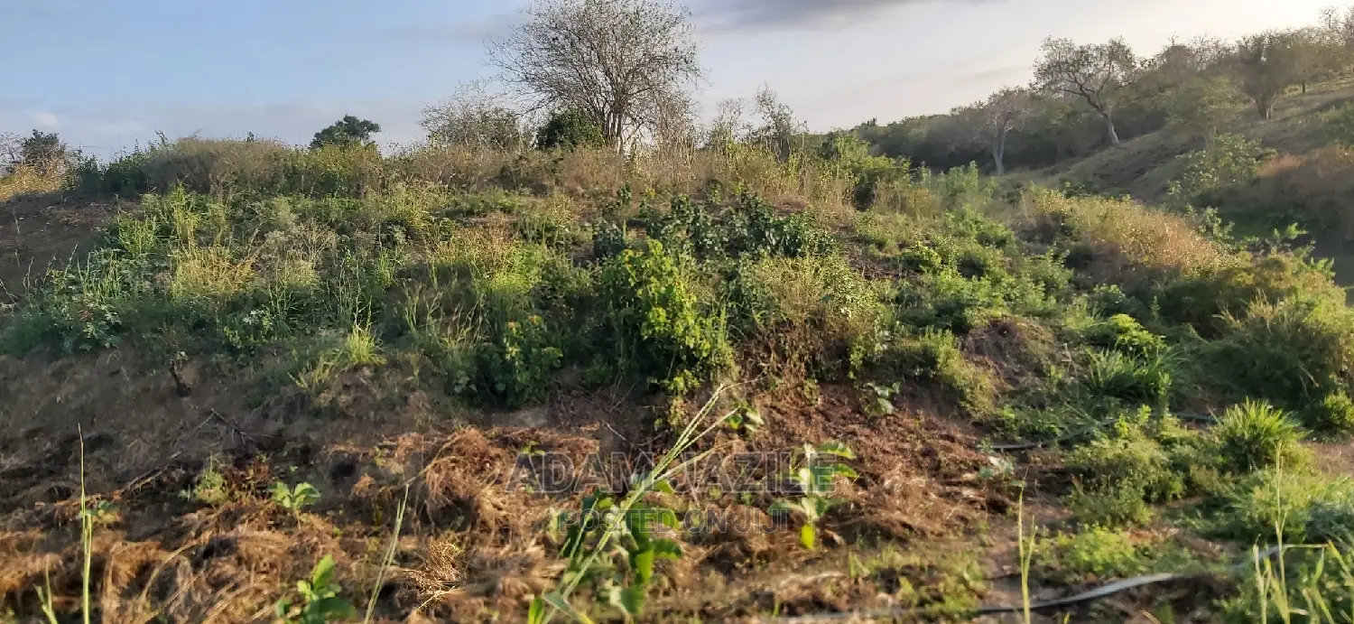 Shamba Linauzwa Bagamoyo