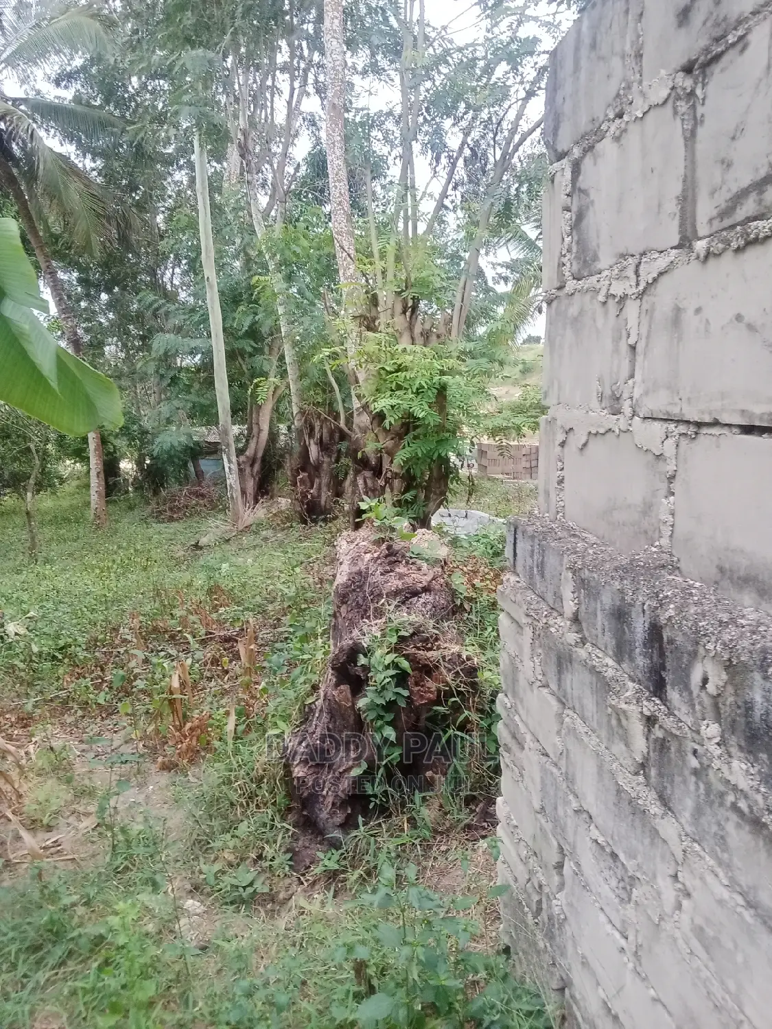 4167sqm Area Facing Moro Road For Sale