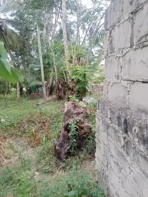 4167sqm Area Facing Moro Road For Sale