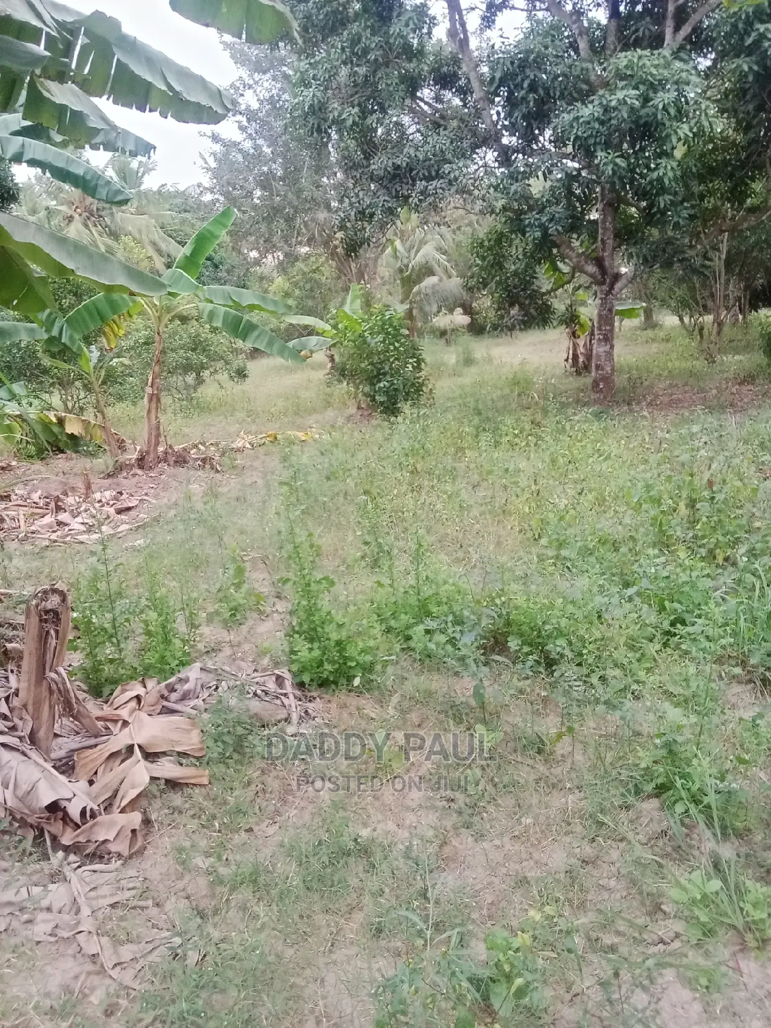 4167sqm Area Facing Moro Road For Sale