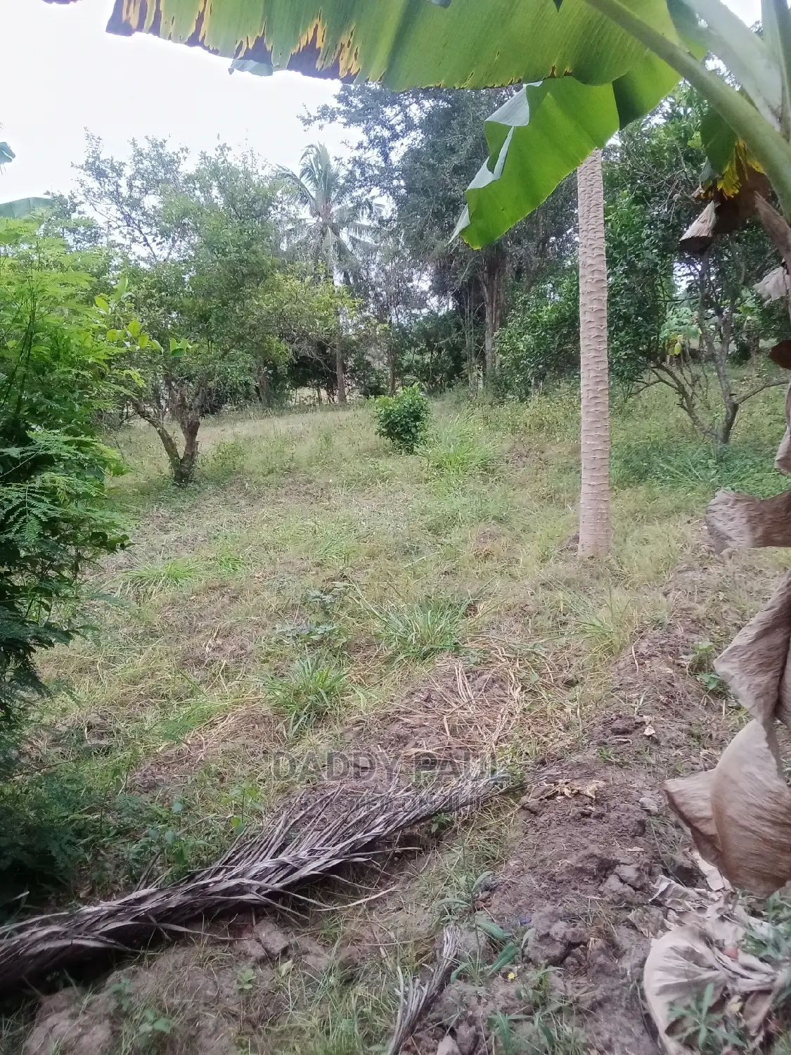4167sqm Area Facing Moro Road For Sale