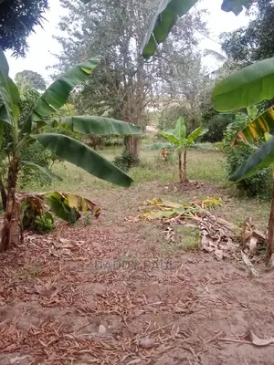 4167sqm Area Facing Moro Road For Sale