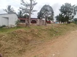 3200 SQM Area Facing Morogoro Road