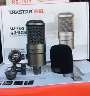 Takstar Microphone Condesor