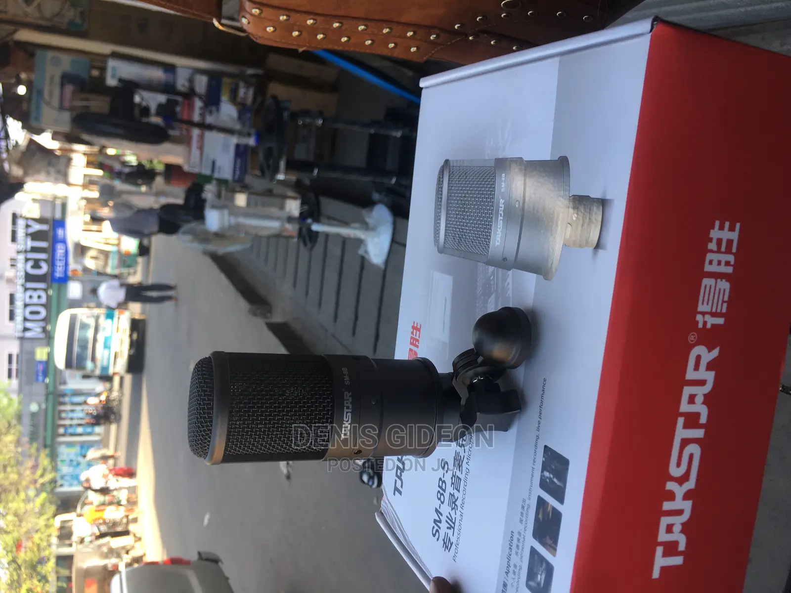Professional Recording Microphone 