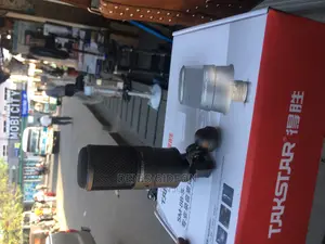 Professional Recording Microphone 
