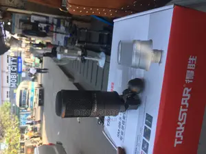 Professional Recording Microphone 